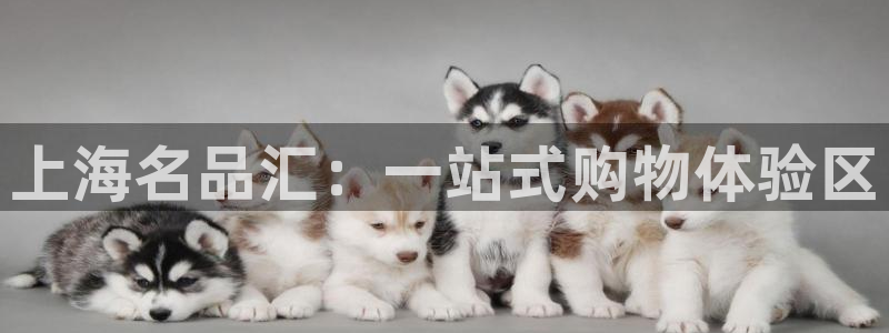 JJB竞技宝官方正版app神州:上海名品汇:一站式购物体验区