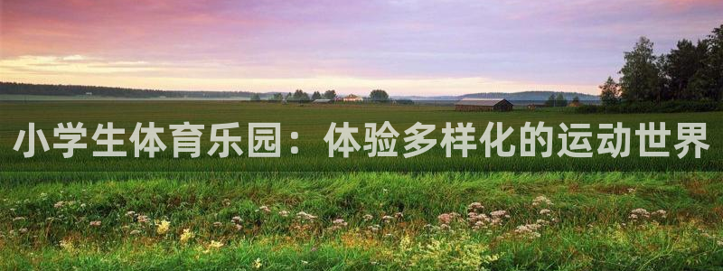 JJB竞技宝官方正版app娱乐下载:小学生体育乐园:体验多样